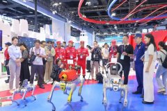 决跨区域、跨国界