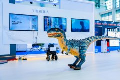 正在“進解優促”